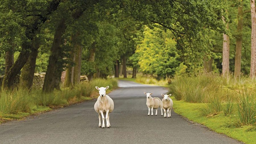 Should I increase our public liability cover
