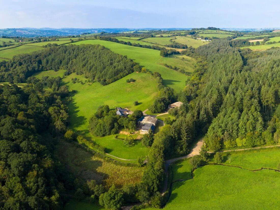 How to create alternative streams of income from biodiversity net gain